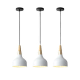 Creative Modern Macaron Disc Art 1-Light Pendant Light