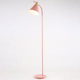 Nordic Creative Macaron Cone Shade 1-Light Standing Floor Lamp