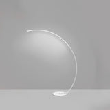 Strip LED Arc Floor Lamps