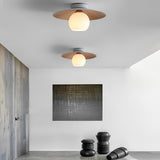 Minimalist Bowl-shaped LED Nordic Ceiling Light Flush Mount Lighting