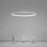 Circle Linear Modern Chandelier Pendant Lights