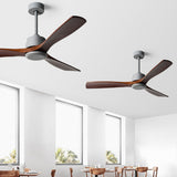 Frequency Conversion, Remote Control, Mute Ceiling Fan with Adjustable Wind Speed