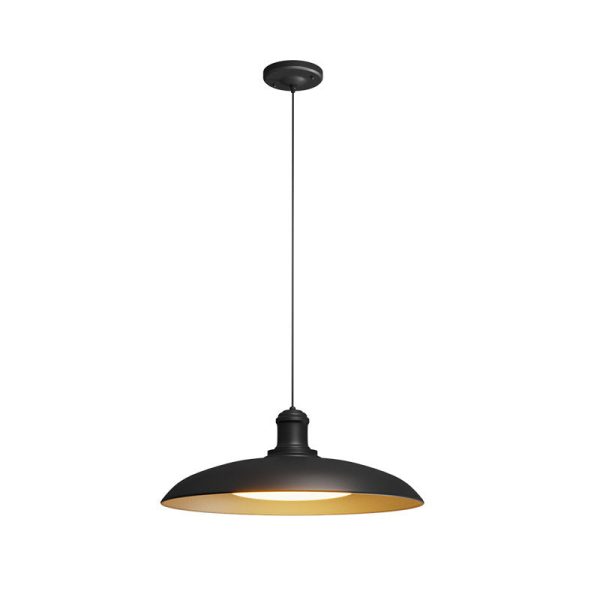 Contemporary Scandinavian Waterproof Carbonized Steel Round 1-Light Pendant Light For Outdoor Patio - Image 8
