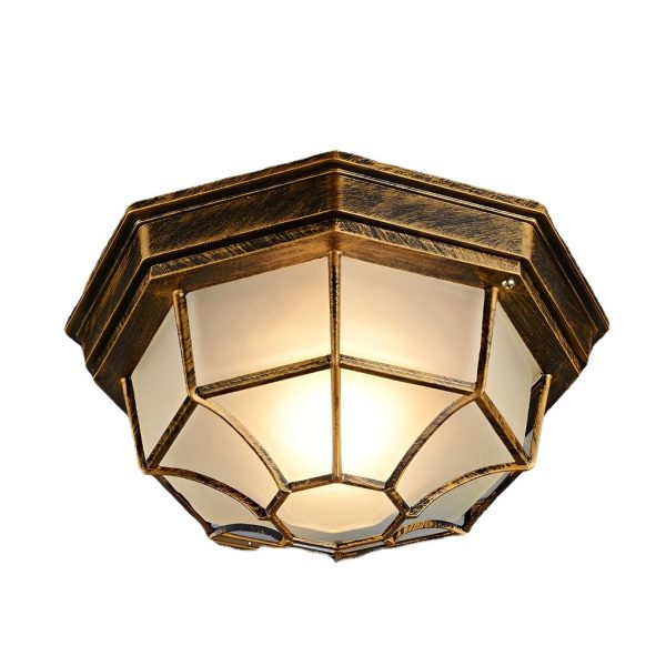 Outdoor Waterproof Aluminum Glass LED European Style Ceiling Lights - Image 7