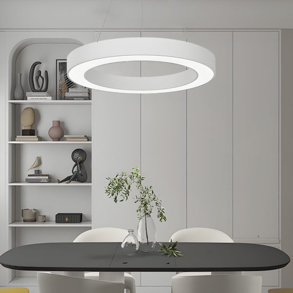 Round Ring Hanging Profile Light Suspended Office LED Pendant Light for Gyms - Image 2