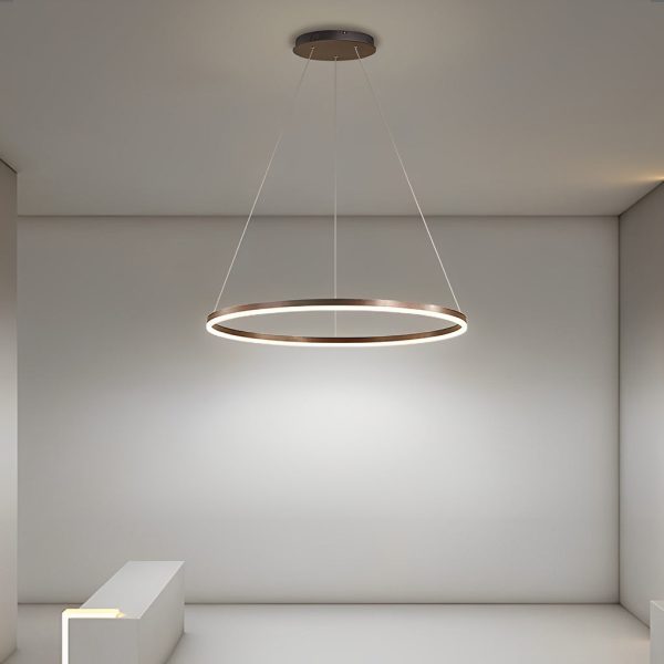 16'' Simple Circle Single Pendant Light Acrylic Pendant Lighting - Image 4