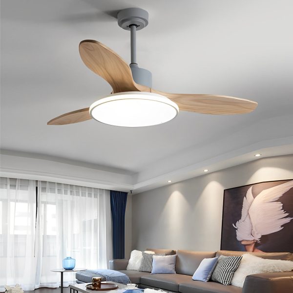Wood Mute 3 Step Dimming LED Nordic Ceiling Fans Light with Remote Control - Image 7
