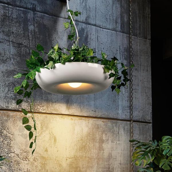 Modern Creative Refreshing Circle Plant 1-Light Pendant Light - Image 6