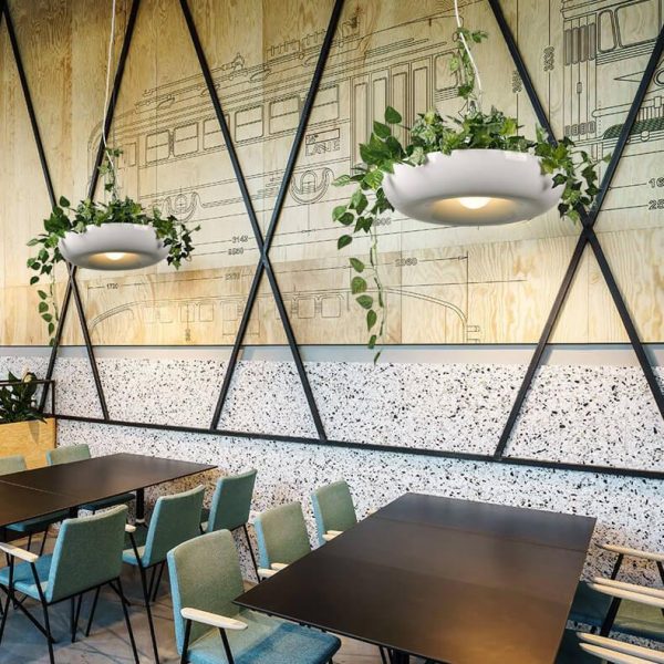 Modern Creative Refreshing Circle Plant 1-Light Pendant Light - Image 2