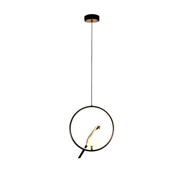 Modern Magpie Pendant Light - Circle/Oval Ring - Image 8