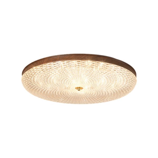 Round Acrylic LED Dimmable with Remote Control Retro Ceiling Lights Fixture - Image 9