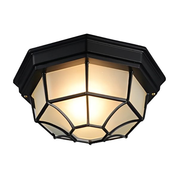 Outdoor Waterproof Aluminum Glass LED European Style Ceiling Lights - Image 6