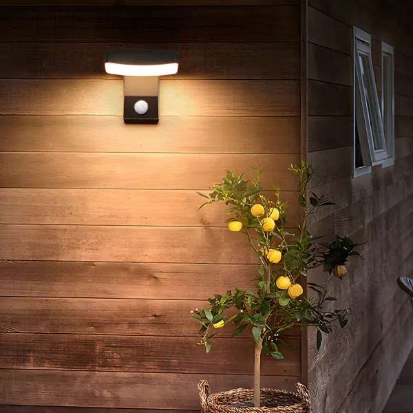 Black Motion Sensor Outdoor Wall Light - Rotatable