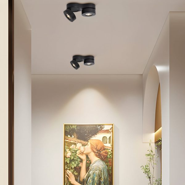 Modern Double Head Rotating Folding Ceiling-Mounted Spotlight in Black/White - Image 2