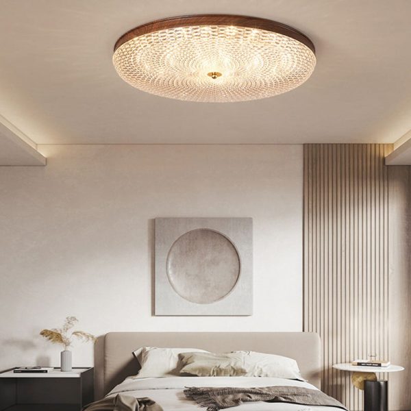 Round Acrylic LED Dimmable with Remote Control Retro Ceiling Lights Fixture - Image 3
