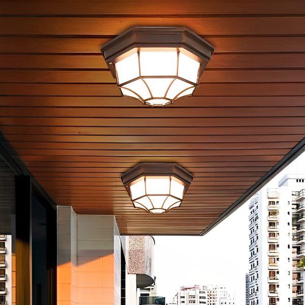 Outdoor Waterproof Aluminum Glass LED European Style Ceiling Lights - Image 4