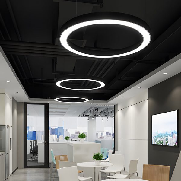 Round Ring Hanging Profile Light Suspended Office LED Pendant Light for Gyms - Image 3