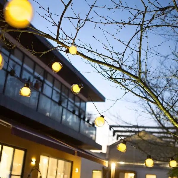 Battery Operated USB Solar 40 Lights LED Bulbs Outdoor String Lights - Image 6