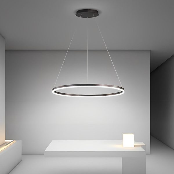 16'' Simple Circle Single Pendant Light Acrylic Pendant Lighting - Image 2