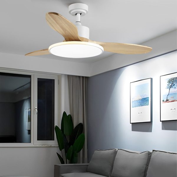 Wood Mute 3 Step Dimming LED Nordic Ceiling Fans Light with Remote Control - Image 5