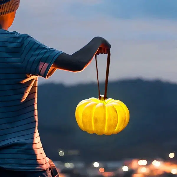 Portable Resin Pumpkin LED Waterproof USB Chargeable Outdoor Lights - Image 4