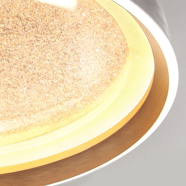 Round Acrylic Starry Sky 3 Step Dimming LED Simple Modern Ceiling Lamp - Image 4