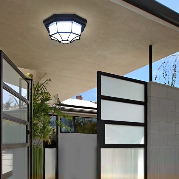 Outdoor Waterproof Aluminum Glass LED European Style Ceiling Lights - Image 3