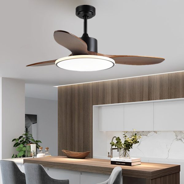 Wood Mute 3 Step Dimming LED Nordic Ceiling Fans Light with Remote Control - Image 6
