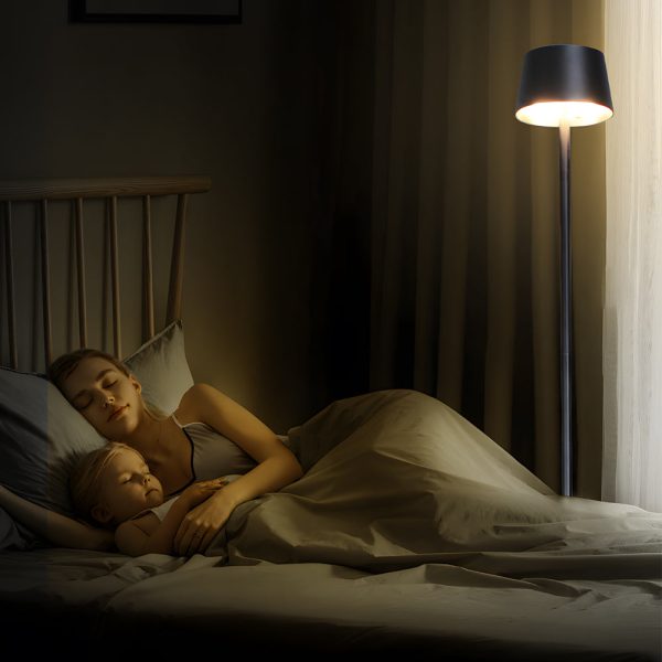48.8-in Black Touch Dimming LED Rechargeable Floor Lamp - Image 4