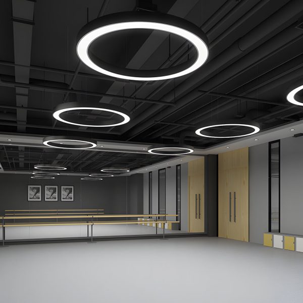 Round Ring Hanging Profile Light Suspended Office LED Pendant Light for Gyms - Image 8