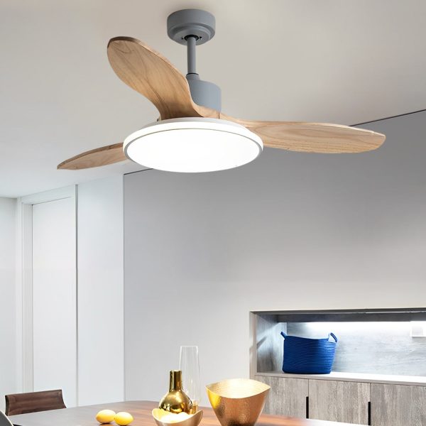 Wood Mute 3 Step Dimming LED Nordic Ceiling Fans Light with Remote Control - Image 4