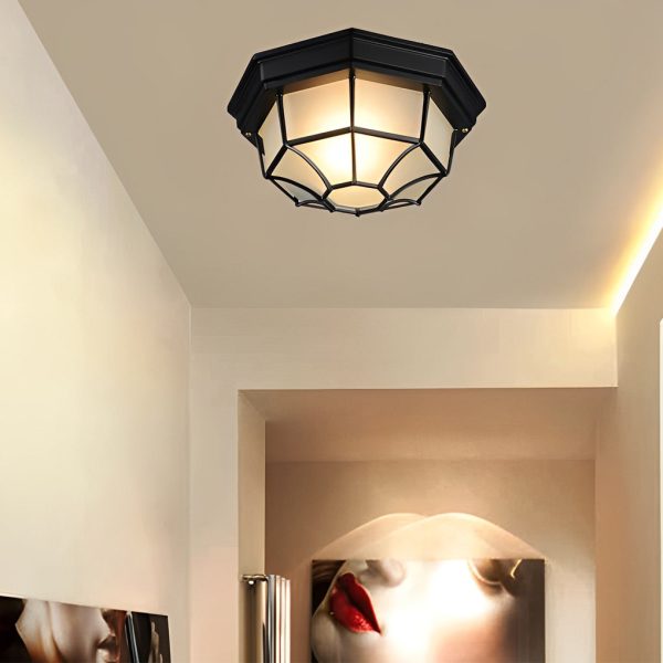 Outdoor Waterproof Aluminum Glass LED European Style Ceiling Lights - Image 5