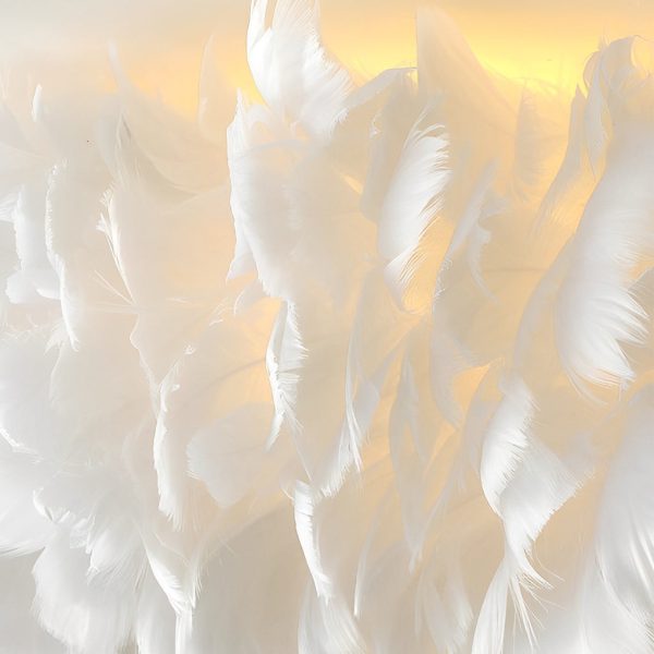Minimalist Feathers White Creative Modern Pendant Lighting Chandelier - Image 7