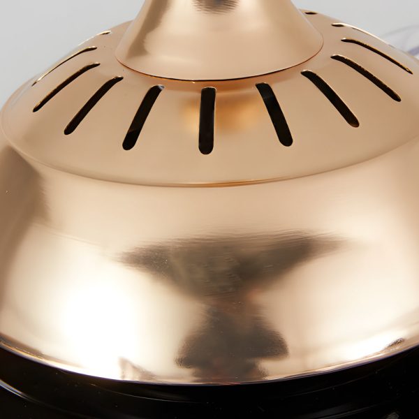 Invisible Silent Ceiling Fan Ring Remote LED Chandelier - Image 7