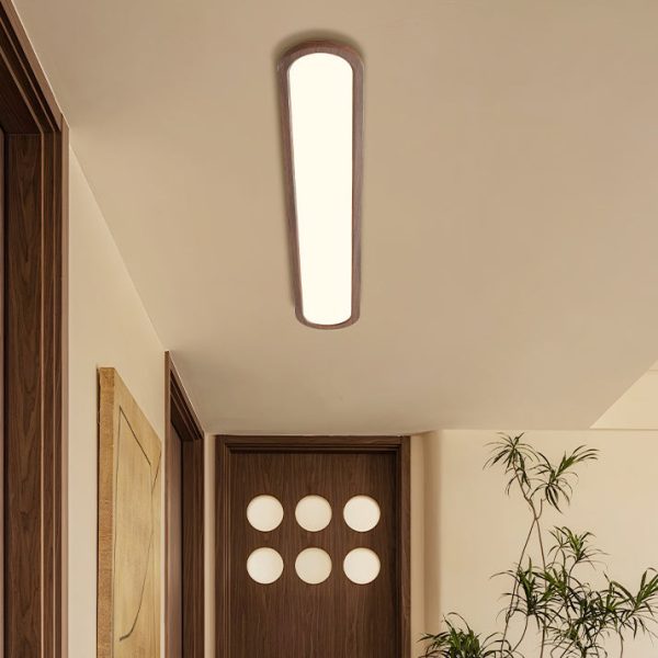 Traditional Vintage Iron & Acrylic Oval Long LED Flush Mount Ceiling Light For Hallway, Bedroom & Living Room - Image 13