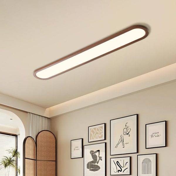 Traditional Vintage Iron & Acrylic Oval Long LED Flush Mount Ceiling Light For Hallway, Bedroom & Living Room