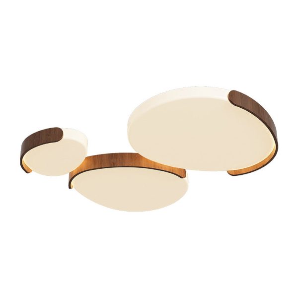 Modern Minimalist PE Iron Oval LED Flush Mount Ceiling Light For Bedroom & Living Room - Image 16