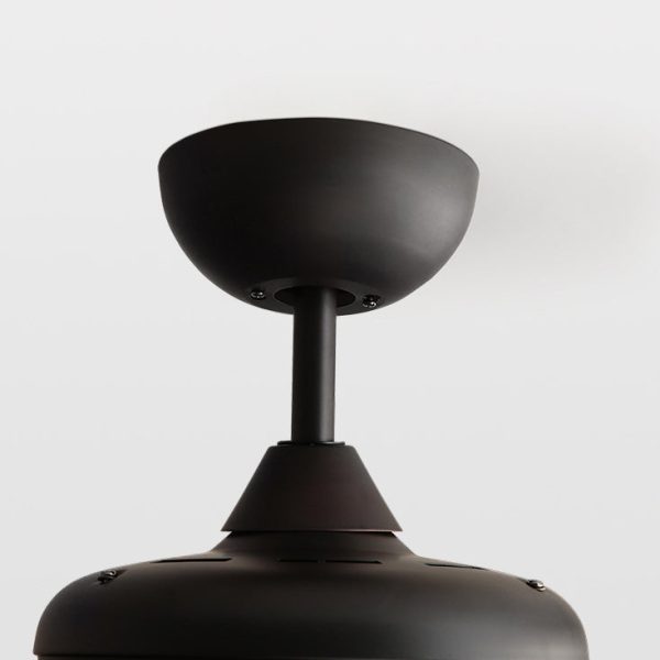 Traditional French Iron Fan Flower Glass Shade 3/5 - Light Downrods Ceiling Fan Light For Living Room - Image 6