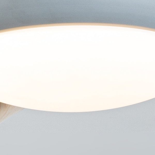 Contemporary Nordic Three Fan Blades Hardware Plastic Acrylic LED Downrods Ceiling Fan Light For Living Room - Image 7