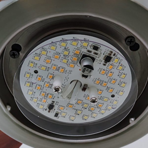 Contemporary Retro Round Glass Shade Solid Wood Fan Blade LED Downrod Ceiling Fan Light For Bedroom - Image 8