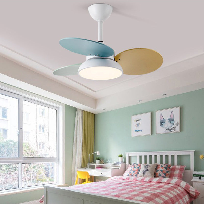BS-Lighting-LL03048-13.jpg Contemporary Scandinavian Acrylic Shade Solid Wood Oval Fan Blade LED Downrod Ceiling Fan Light For Living Room - Image 1
