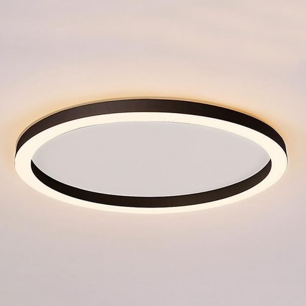 16'' Modern Simple Circle Flush Mount LED Lights Dimmable Ceiling Lights with Remote - Image 4