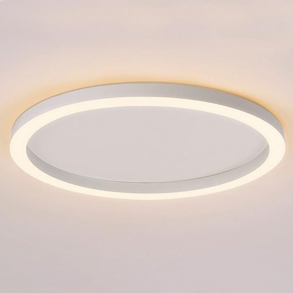 16'' Modern Simple Circle Flush Mount LED Lights Dimmable Ceiling Lights with Remote - Image 5