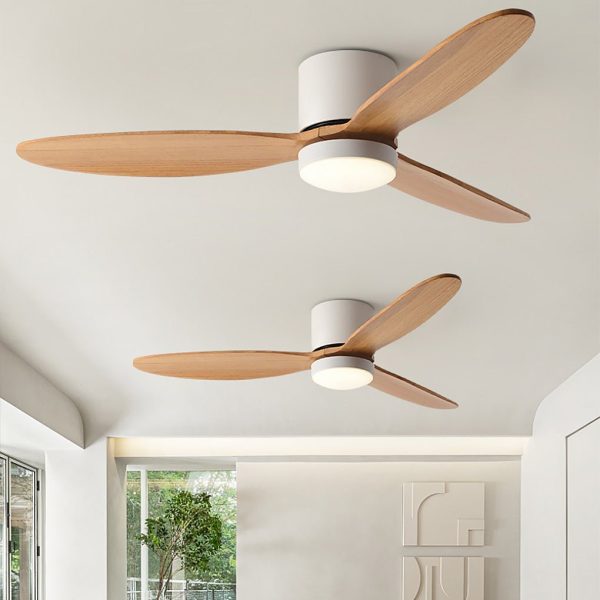 LED Inverter Silent Nordic Light Fan Ceiling Fan with Lamp - Image 5