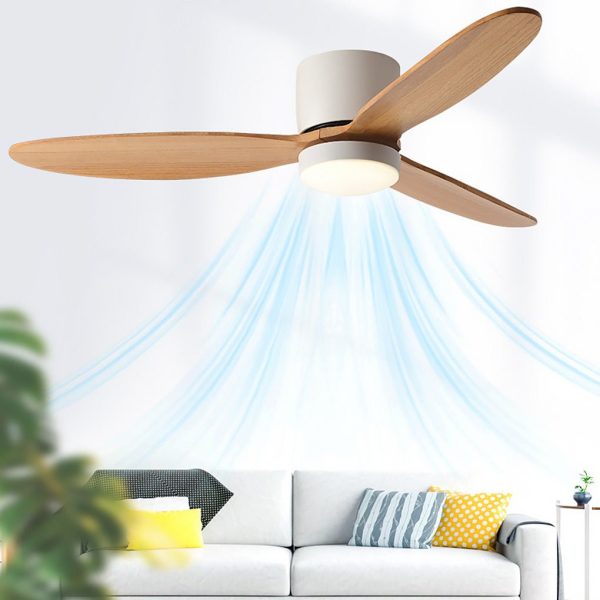 LED Inverter Silent Nordic Light Fan Ceiling Fan with Lamp - Image 6