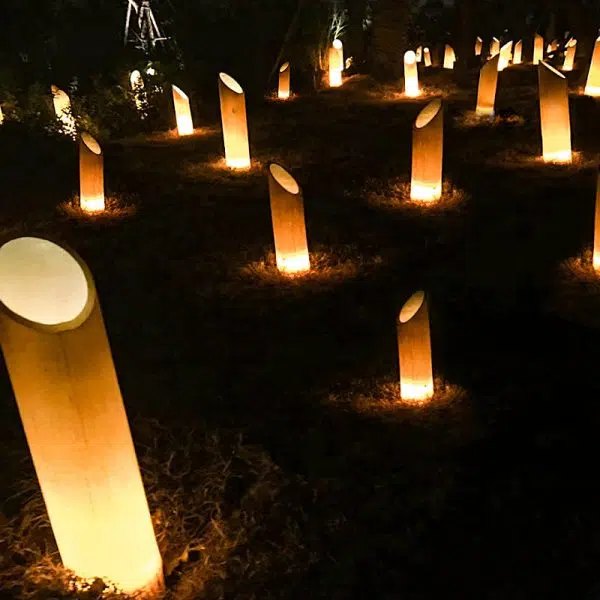 Contemporary Creative Waterproof Solar Resin Bamboo LED Landscape Lighting Outdoor Light For Garden - Image 2