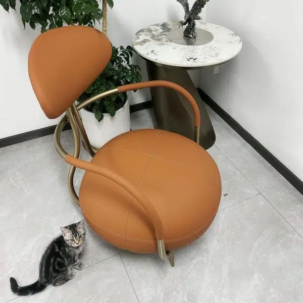 Contemporary Luxury Round Leather Steel Chair Backrest Armless For Living Room - Image 7