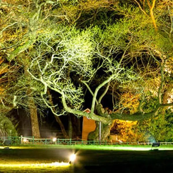 Outdoor Waterproof Spotlight LED Garden Lighting Lawn Ground Insert Landscape Light - Image 16