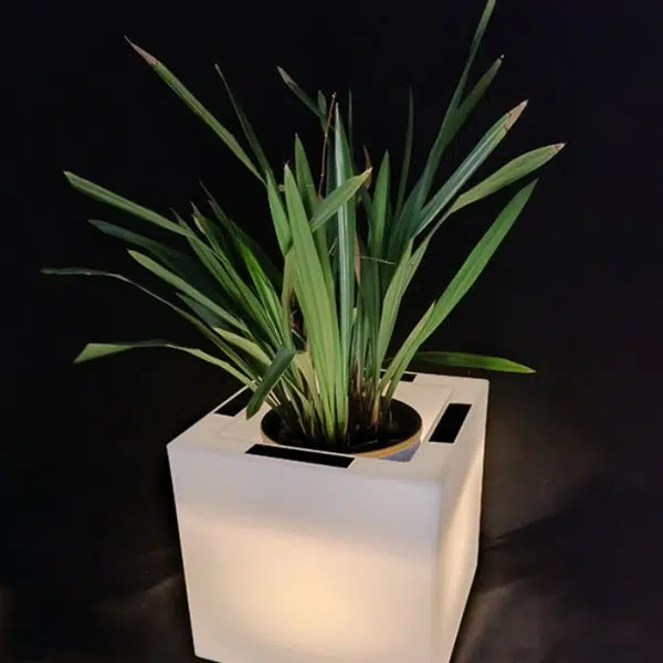 Modern Art Deco Solar Waterproof PE Square Planter LED Outdoor Light Landscape Lighting For Garden & Outdoor Patio - Image 5