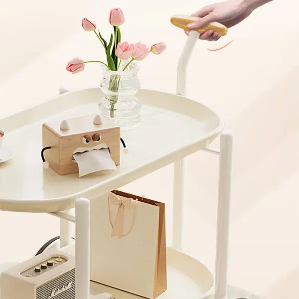 Contemporary Creative Oval Steel Plastic End Table 2-Tier For Living Room - Image 11